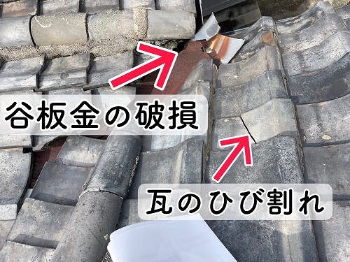 尾道市因島町にて瓦のズレ調査