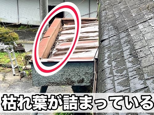 神石高原町にて雨漏りや雨樋破損している平屋の調査