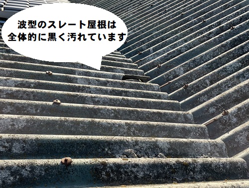 【無料調査】福山市にてアスベスト含有スレート屋根の雨漏り調査全体的に黒い汚れ