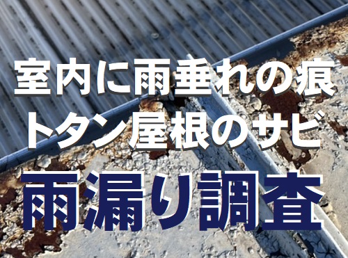 福山市室内に雨垂れ痕トタン屋根の雨漏り調査