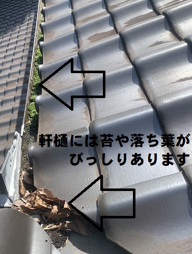 尾道市にて住宅の裏に山があるため落ち葉が積もる雨樋調査で軒樋に苔や落ち葉