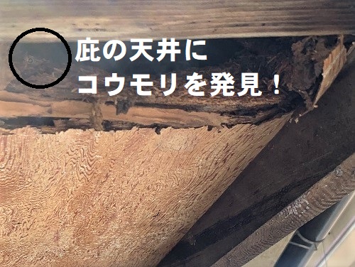 福山市にてコウモリ侵入対策で玄関庇の板金カバー工法を提案！腐食した天井にこうもり侵入