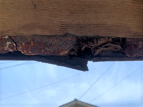 福山市にてコウモリ侵入対策で玄関庇の板金カバー工法を提案！害獣駆除でなく侵入防止策を提案で屋根リフォーム