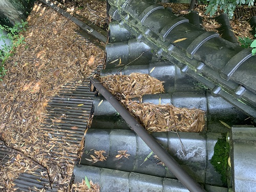 尾道市にて住宅の裏に山があるため落ち葉が積もる雨樋調査瓦屋根の上に枯葉が溜まる