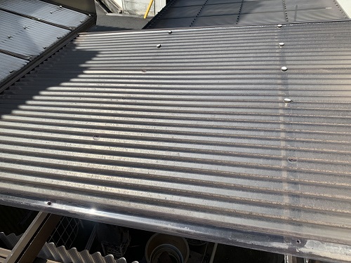 福山市にて風で一部飛散した物置倉庫の波板のフック取替工事無料調査残った屋根の状態