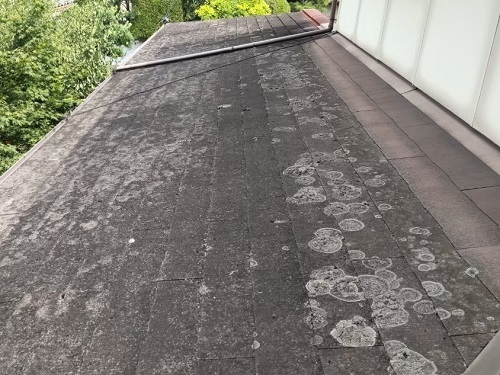 福山市にて屋根カバー工法を用いてカラーベスト屋根から金属屋根ガルバリウム鋼板屋根へ屋根リフォーム工事下屋根ビフォー