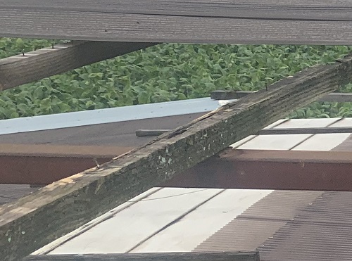 福山市にて台風により波板が飛んだ会社敷地内のガレージ屋根工事前の調査垂木の腐食
