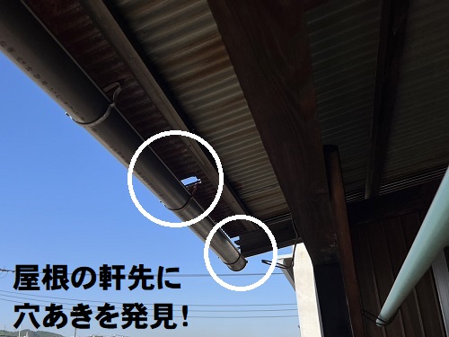 福山市のベランダ屋根リフォーム工事にガルバリウム鋼板波板を使用トタン屋根調査で屋根の軒先に穴あき