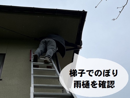福山市にて木々に囲まれた住宅のオーバーフローする雨どい詰まり調査梯子をかけて点検