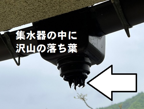 福山市でバシャバシャ水漏れする雨樋の掃除(落ち葉除去)と勾配調整南側集水器の中に沢山の枯れ葉