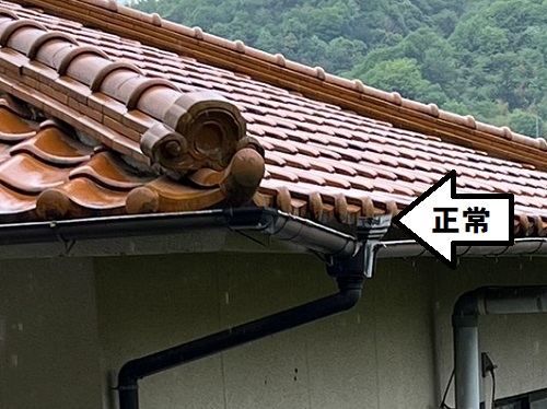 福山市にて木々に囲まれた住宅のオーバーフローする雨どい詰まり調査正常な集水器と比較