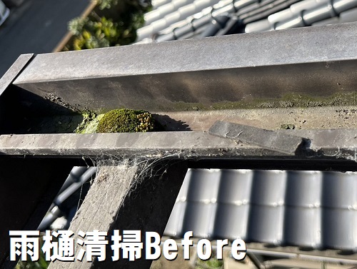 福山市でバタバタするベランダ屋根のポリカーボネート製波板張替工事雨どいの苔や埃の掃除前