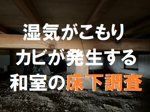 福山市で畳にカビが発生するほどの湿気が気になる和室の床下調査