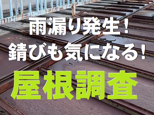 福山市で店舗兼住宅の屋根リフォームの為の錆びたブリキ屋根調査