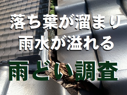 尾道市にて住宅の裏に山があるため枯れ葉や苔・土・ゴミが積もる雨どいの調査