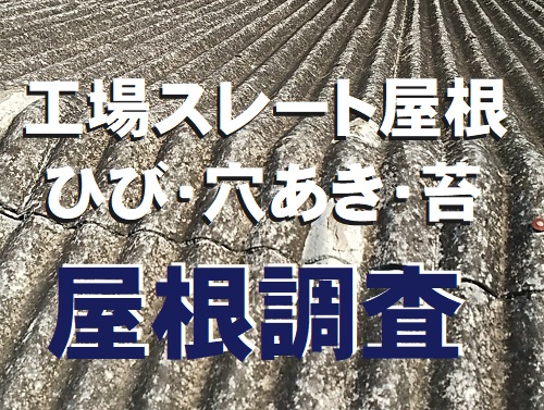 福山市にて経年劣化でひび苔割れのある工場のスレート葺き屋根調査