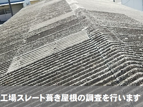福山市にて工場のスレート葺き屋根調査【ひび・穴あき・欠けを確認】