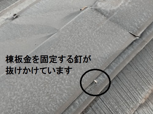 福山市台風被害とれかけた棟板金の釘