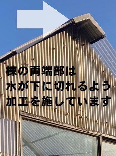 尾道市にて強風被害に遭ったビニールハウスを火災保険利用で屋根補修工事ガルバリウム鋼板新設棟板金端部加工