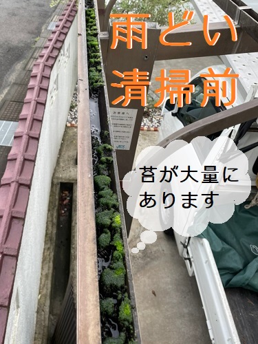 福山市カーポート屋根材取り替え工事雨樋掃除前