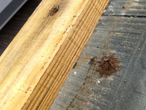 福山市屋根点検釘が抜けた貫板芯木