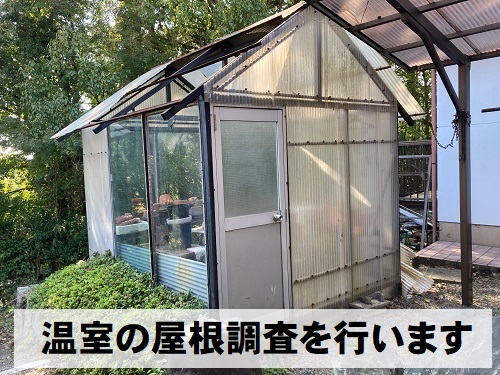 尾道市にて強風で飛ばされた温室の波板屋根調査で無料見積り現地調査