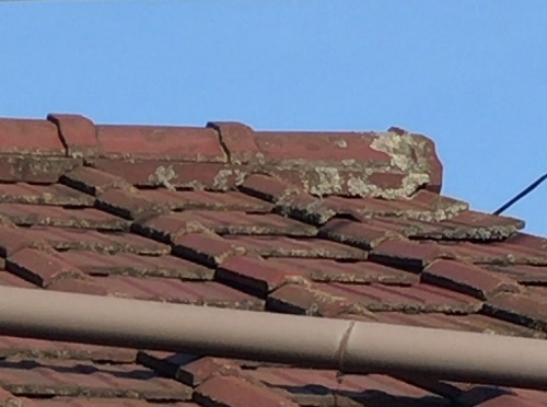 広島県府中市でセメント瓦屋根調査に屋根リフォーム工事を提案無料点検
