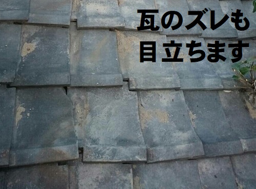 尾道市にて老朽化により崩れかけている瓦屋根の調査ズレた瓦