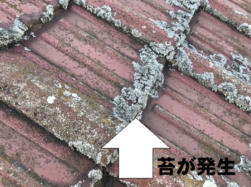 広島県府中市でセメント瓦屋根調査に屋根リフォーム工事を提案無料点検苔の生えた瓦