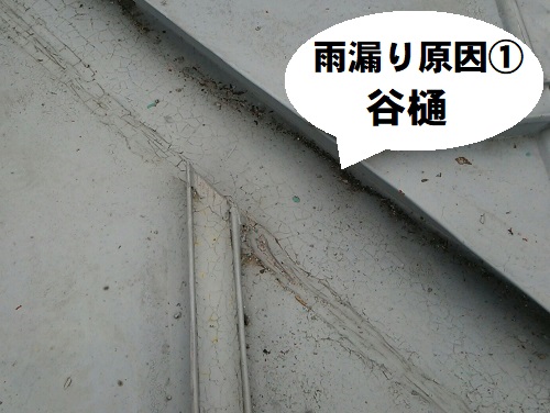 【無料調査】広島県府中市で瓦棒葺き屋根の無料雨漏り調査雨漏り原因は谷樋