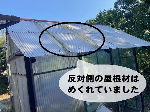 尾道市にて強風被害に遭ったビニールハウスを火災保険利用で屋根補修工事無料調査めくれた屋根材