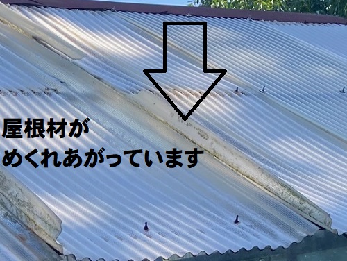 尾道市にて強風で飛ばされた温室の波板屋根調査で無料見積り塩化ビニル製波板めくれあがった屋根材