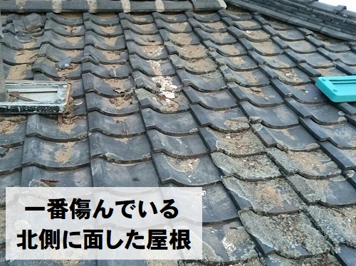 尾道市にて老朽化により崩れかけている瓦屋根の調査ひどく傷んだ北側の瓦屋根