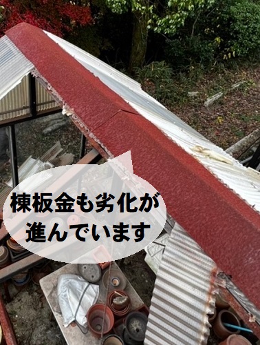 尾道市にて強風被害に遭ったビニールハウスを火災保険利用で屋根補修工事無料調査錆びの進んだ棟板金