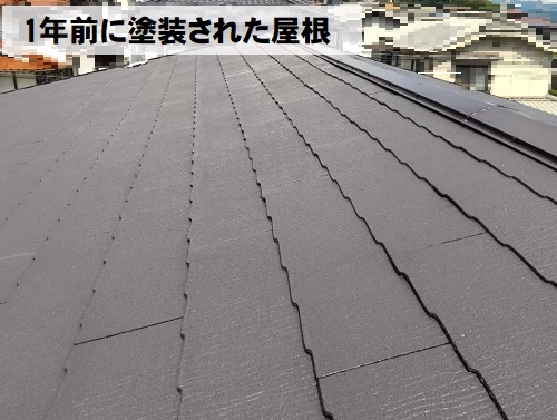 尾道市でカバー工法の屋根工事屋根調査時の様子