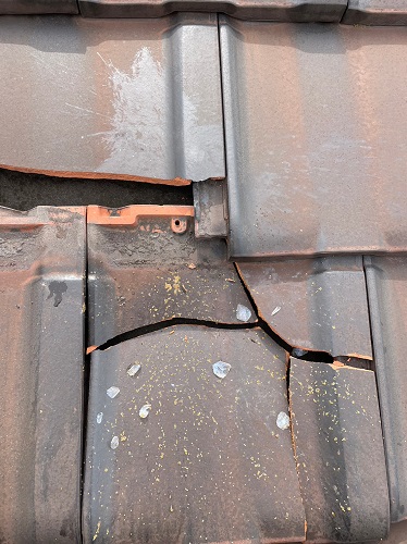福山市にて飛来物（鳥が落とした魚）により割れた瓦屋根の修理瓦の撤去