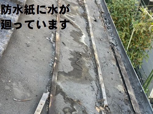 福山市で瓦屋根の雨漏り修理にセメント瓦差し替えと雨とい勾配調整工事防水紙に水が廻った様子